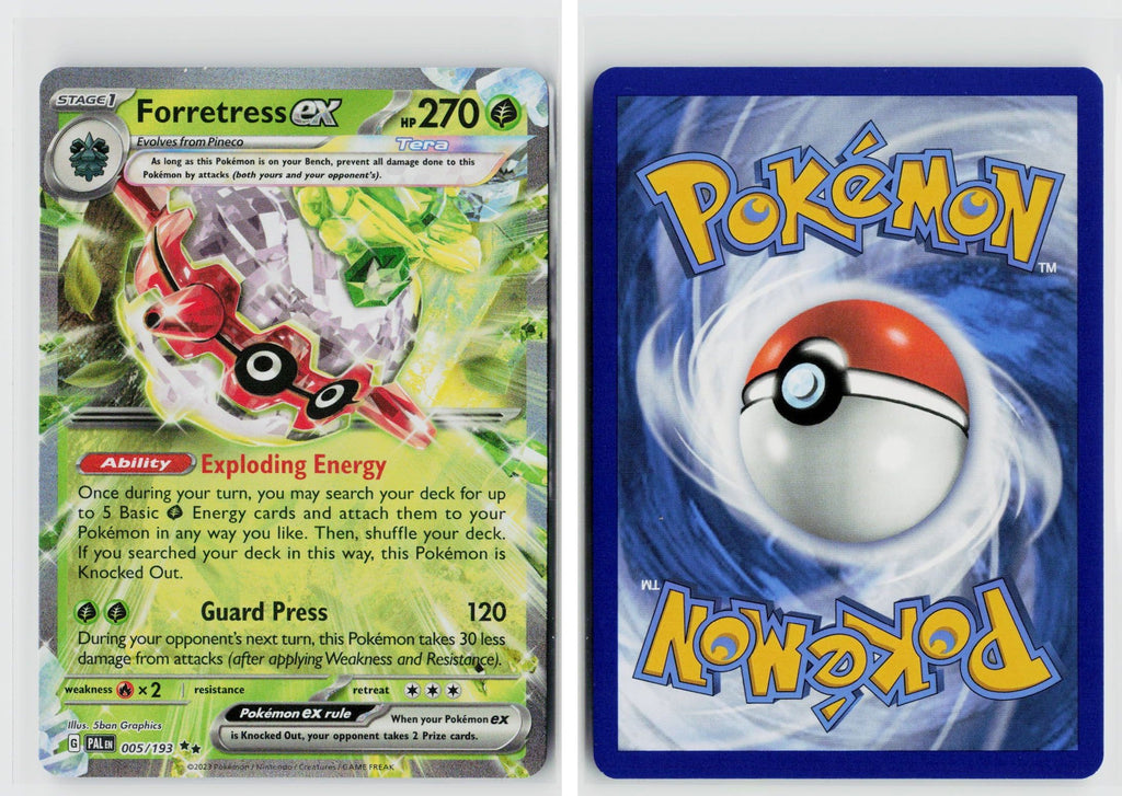 Front + Back scan