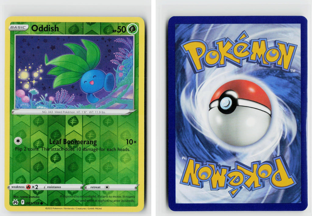 Front + Back scan