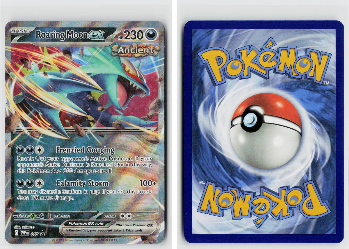 Front + Back scan