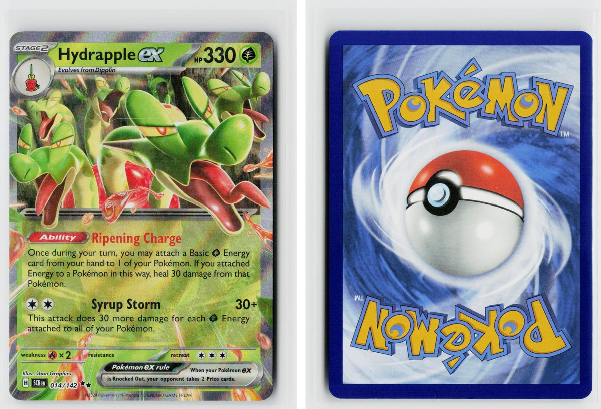 Front + Back scan