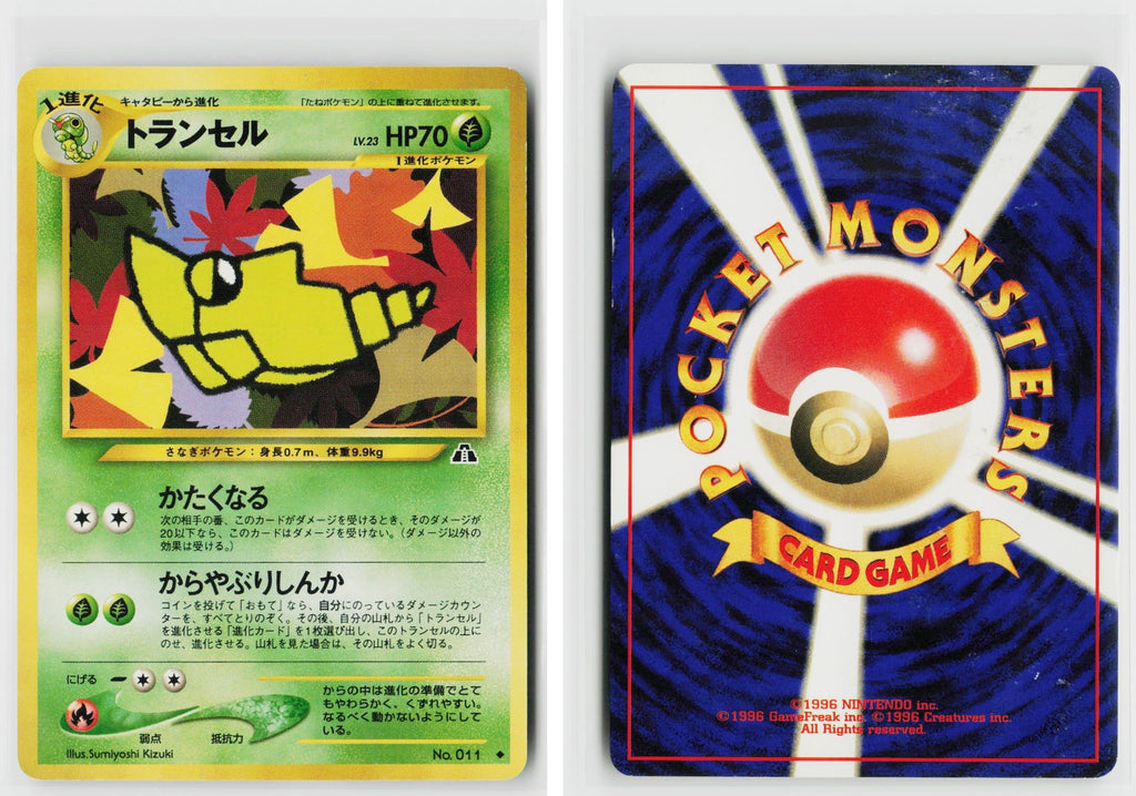 Front + Back scan