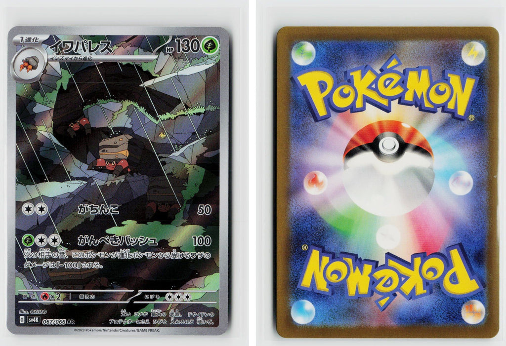 Front + Back scan