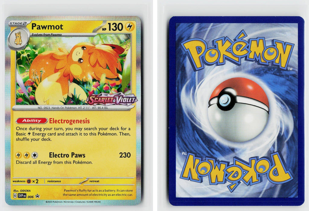 Front + Back scan