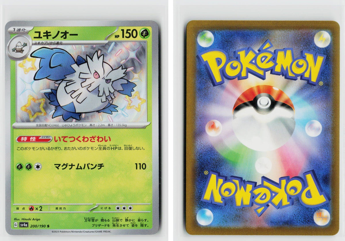 Front + Back scan