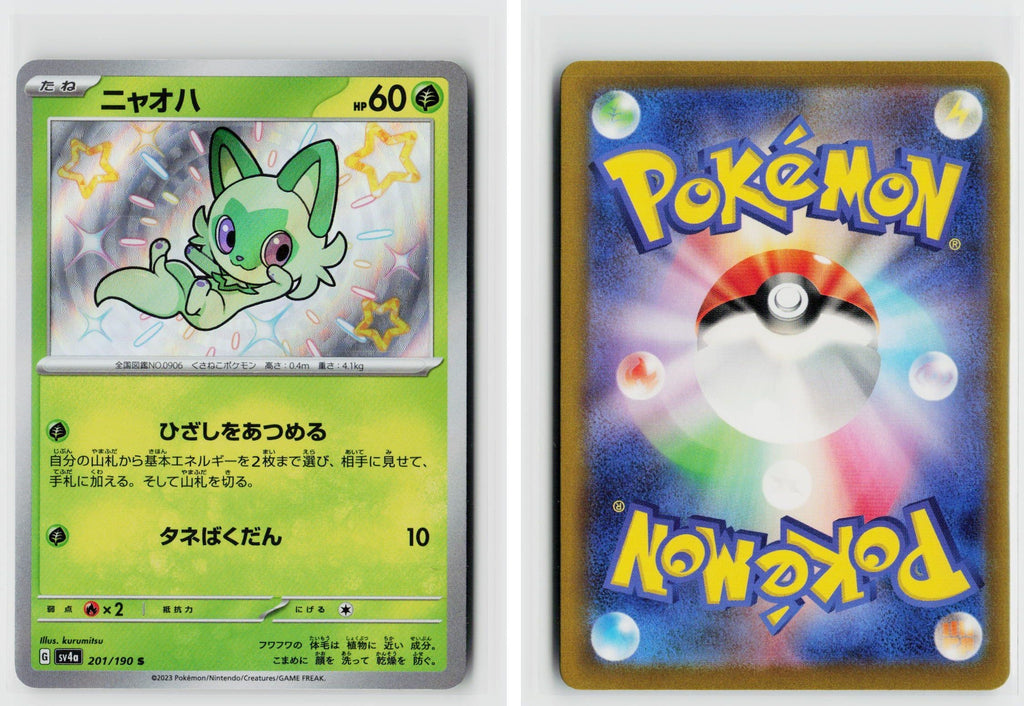Front + Back scan