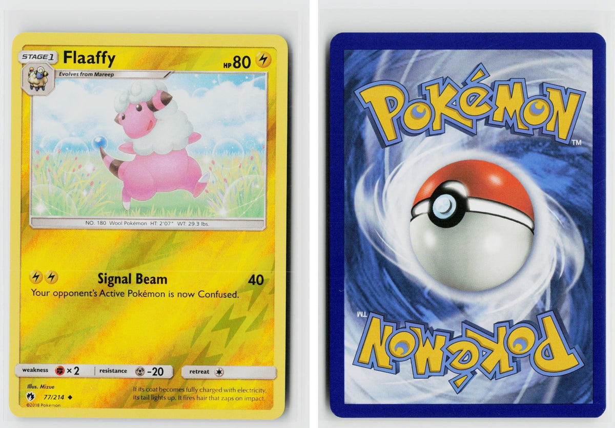 Front + Back scan