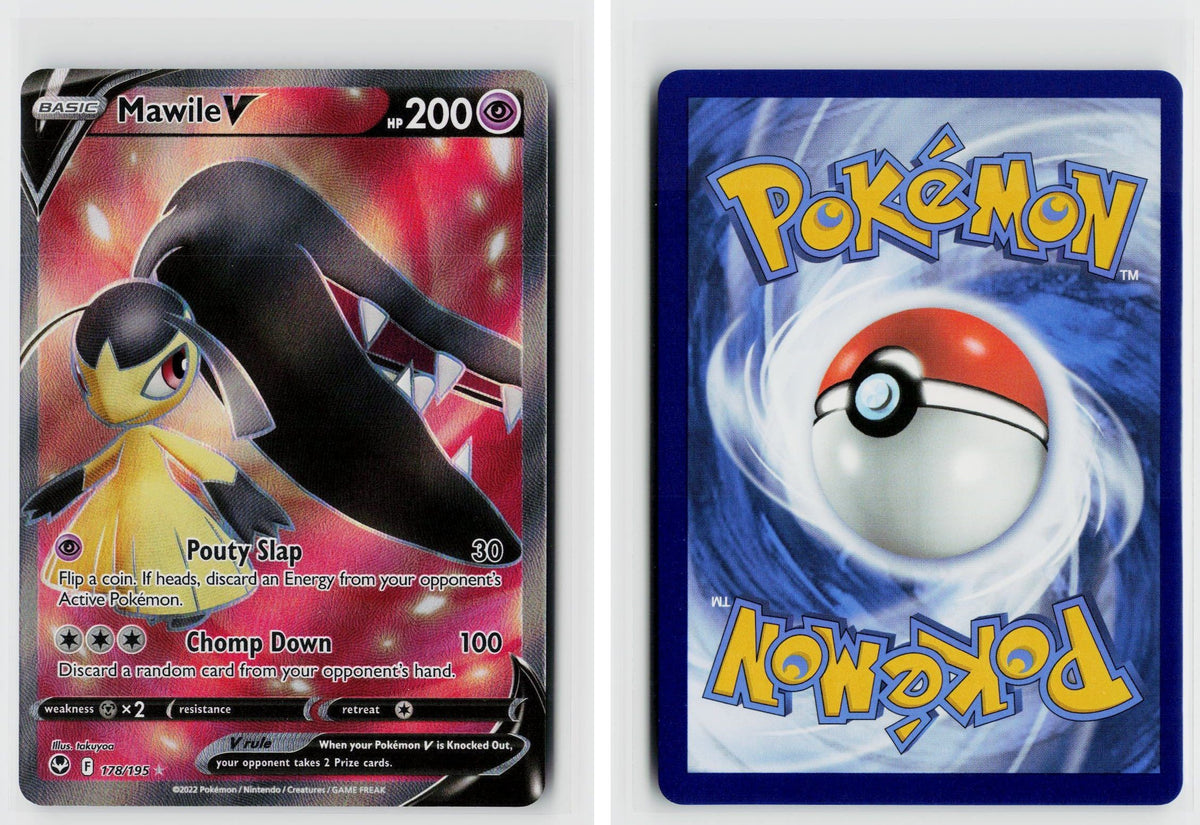 Front + Back scan