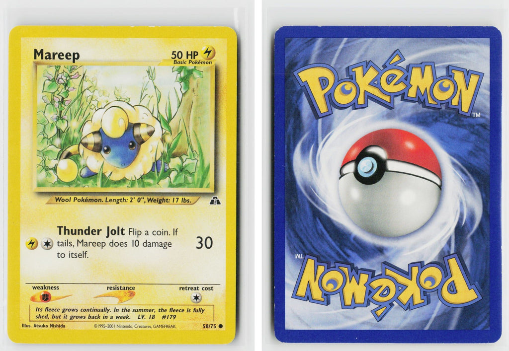 Front + Back scan