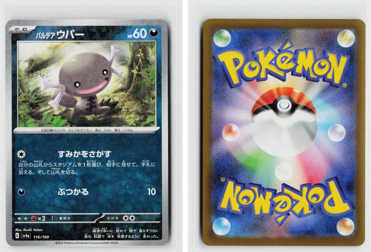 Front + Back scan