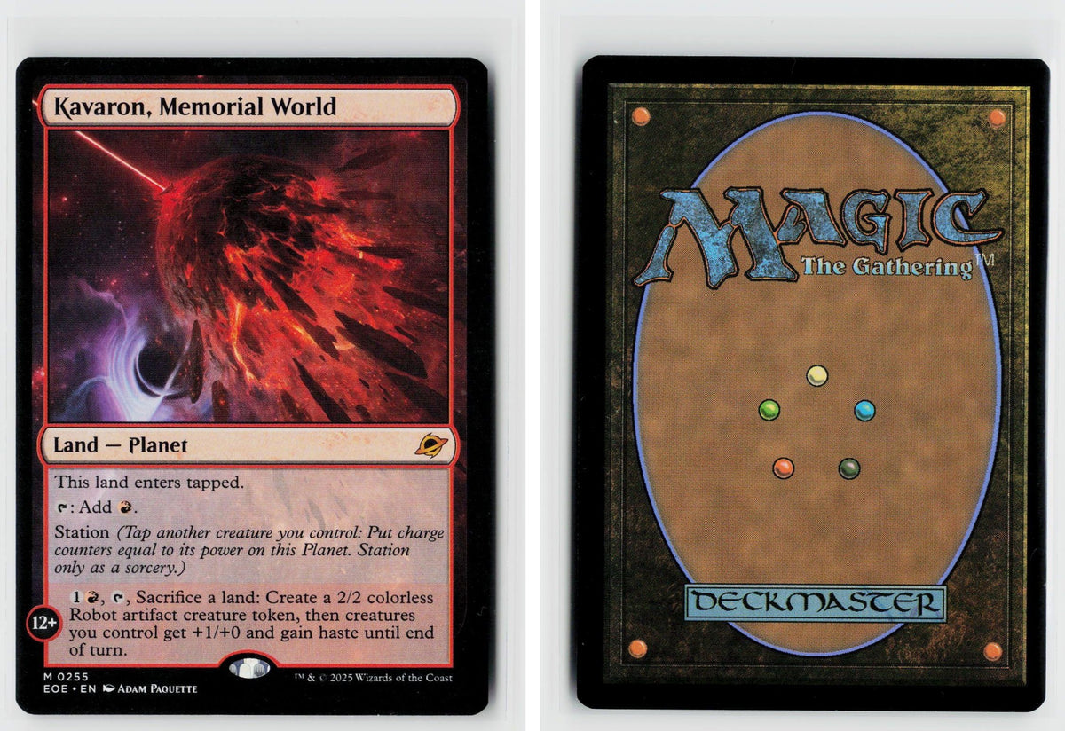 Front + Back scan