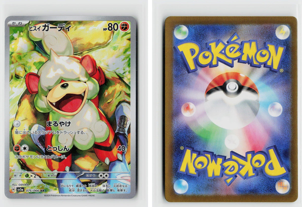 Front + Back scan