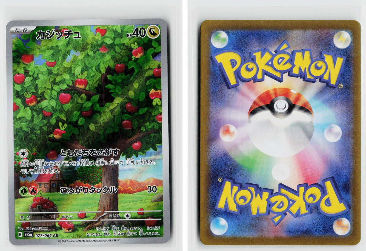 Front + Back scan
