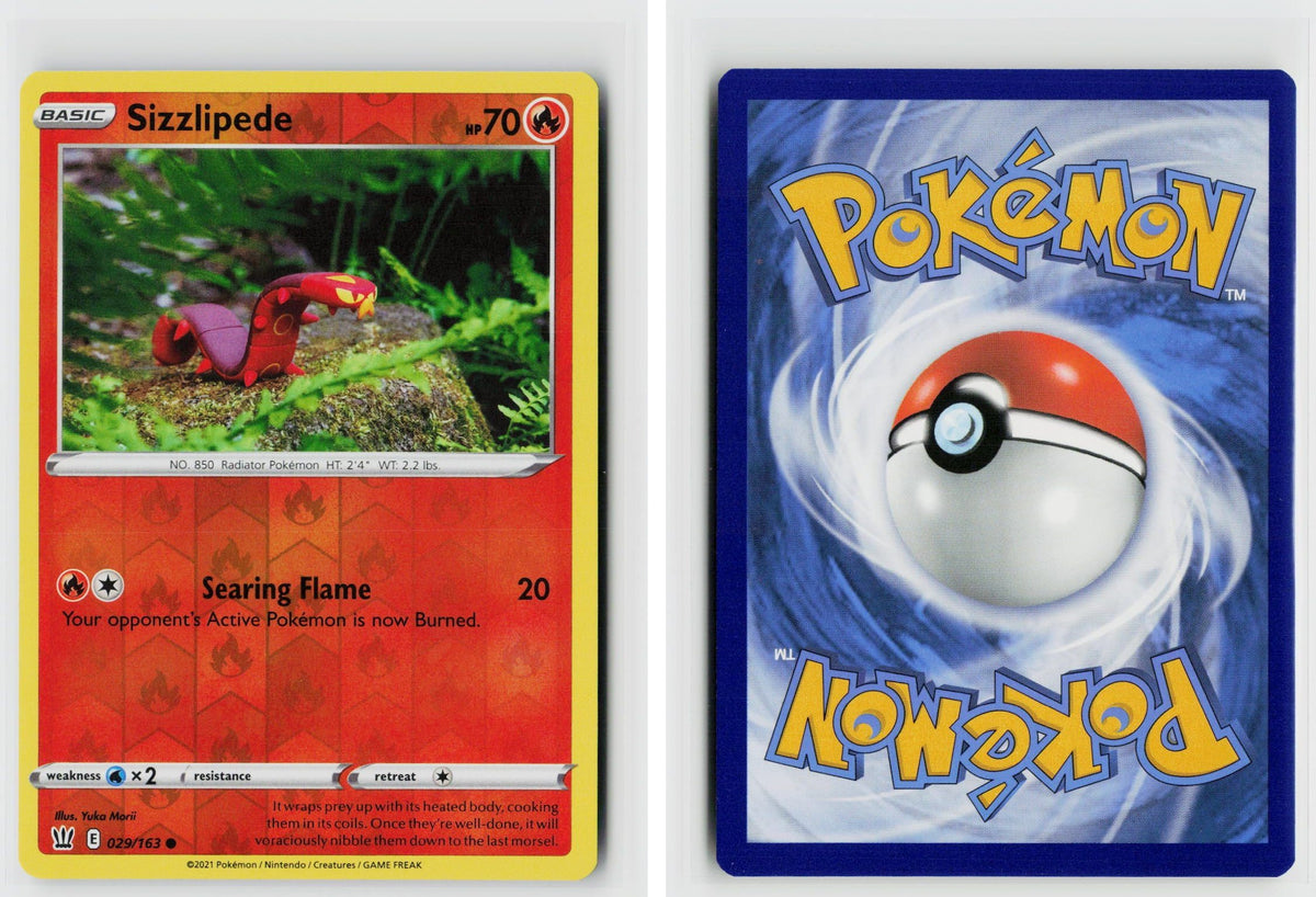 Front + Back scan