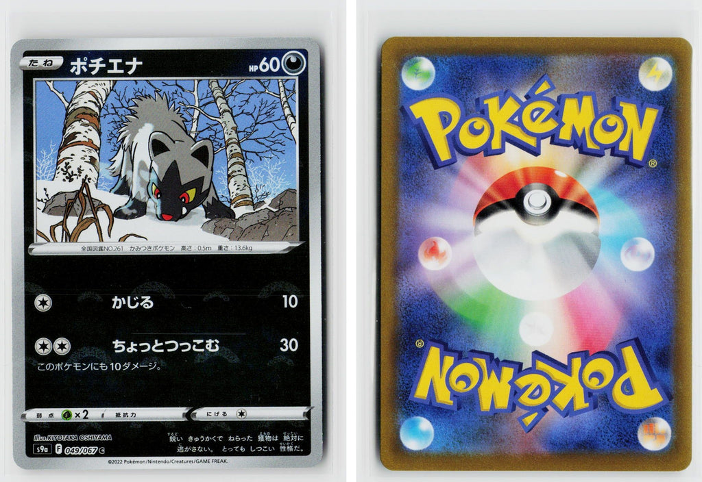 Front + Back scan