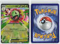 Front + Back scan