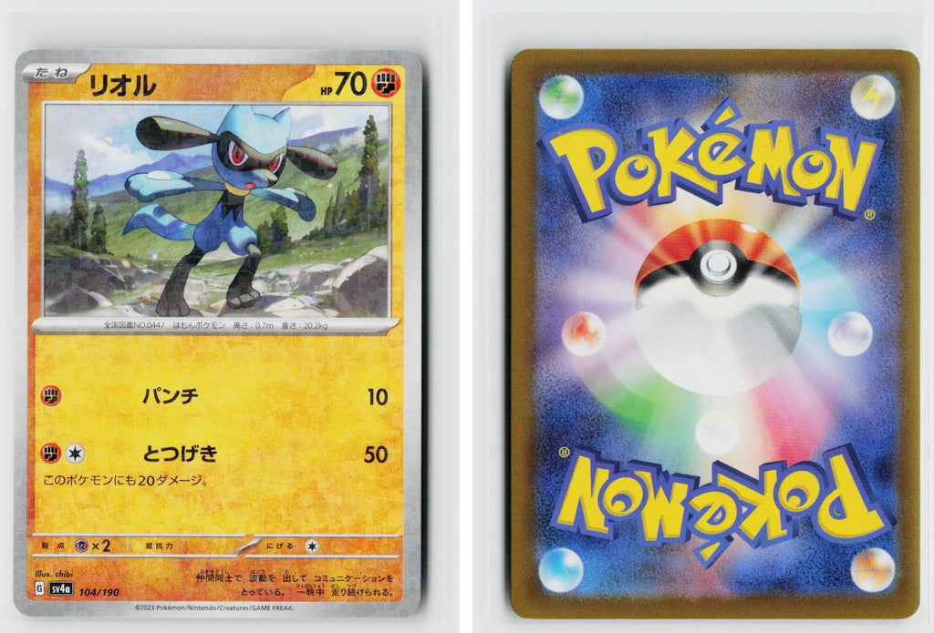 Front + Back scan