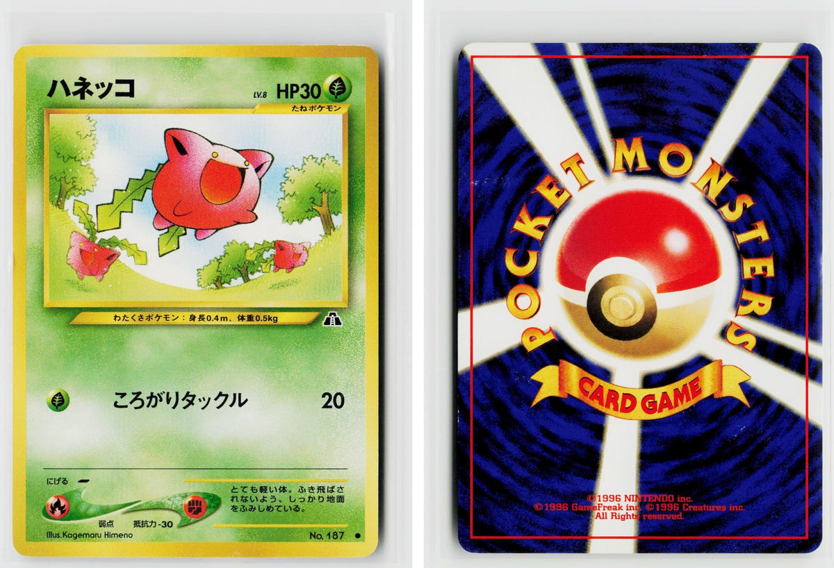 Front + Back scan