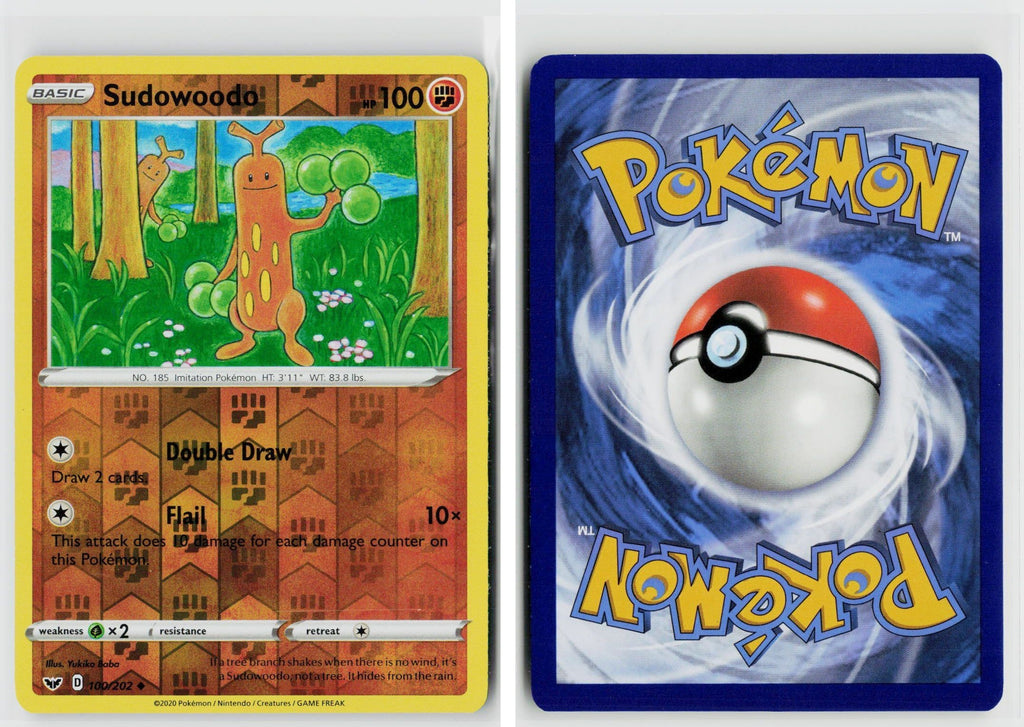 Front + Back scan