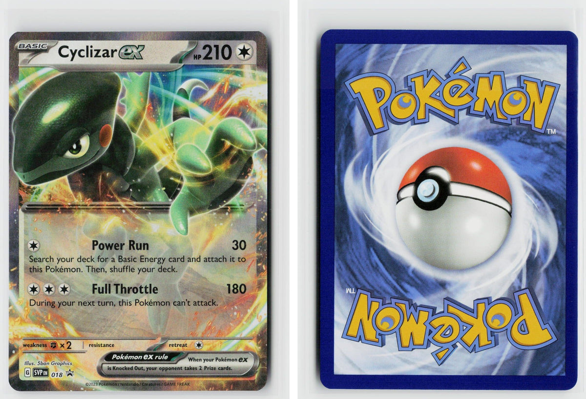 Front + Back scan