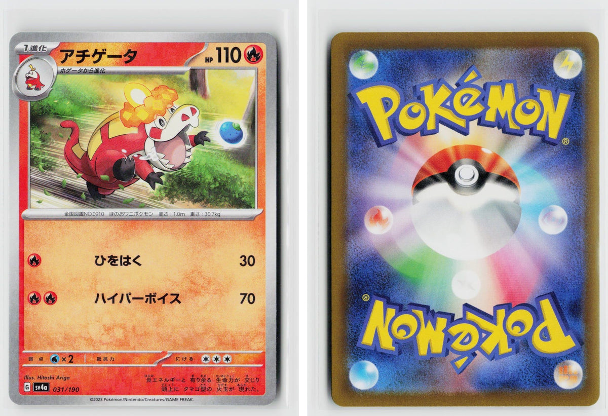 Front + Back scan
