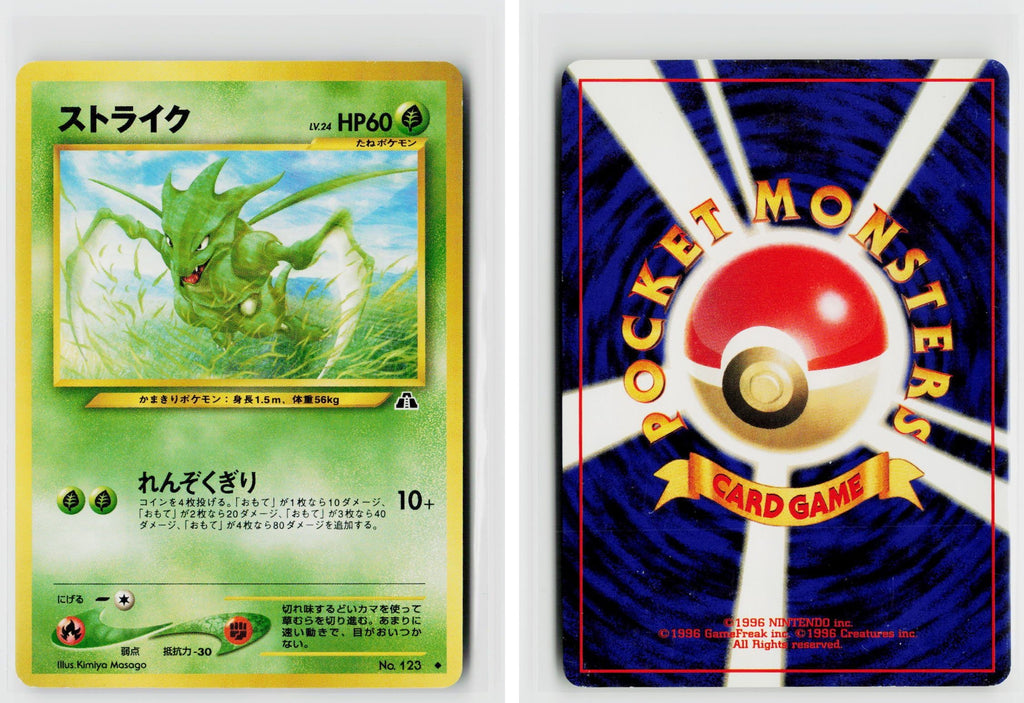 Front + Back scan
