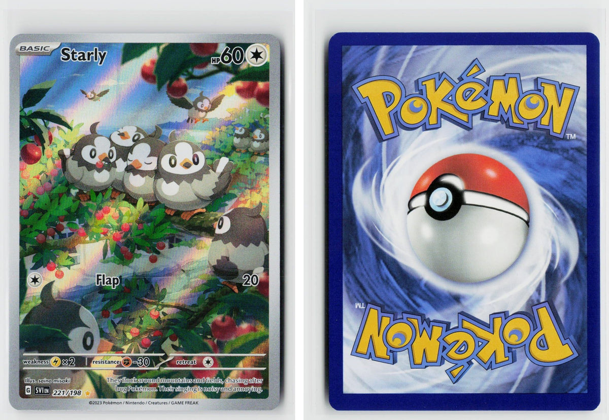 Front + Back scan