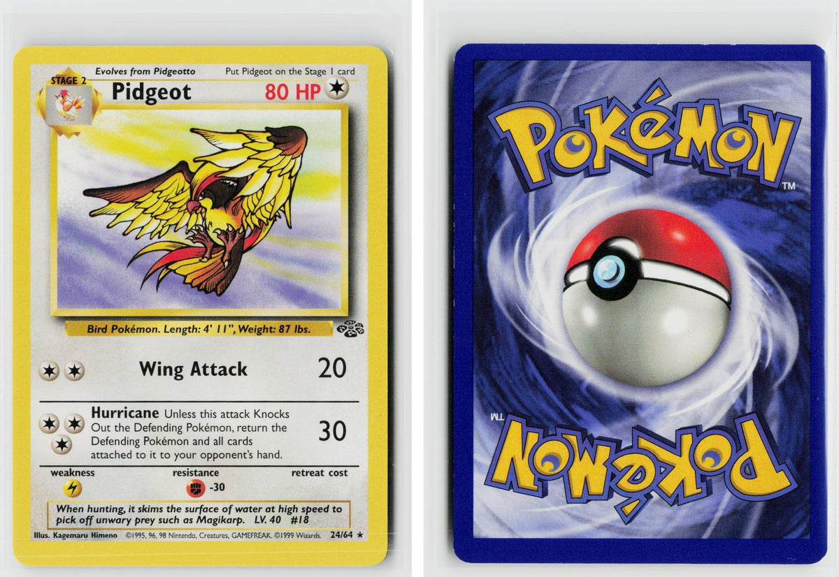 Front + Back scan