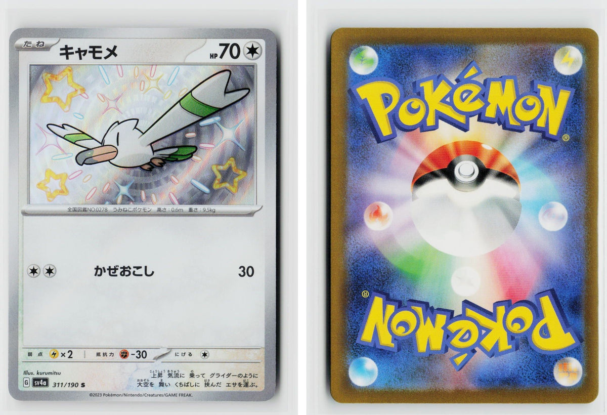 Front + Back scan