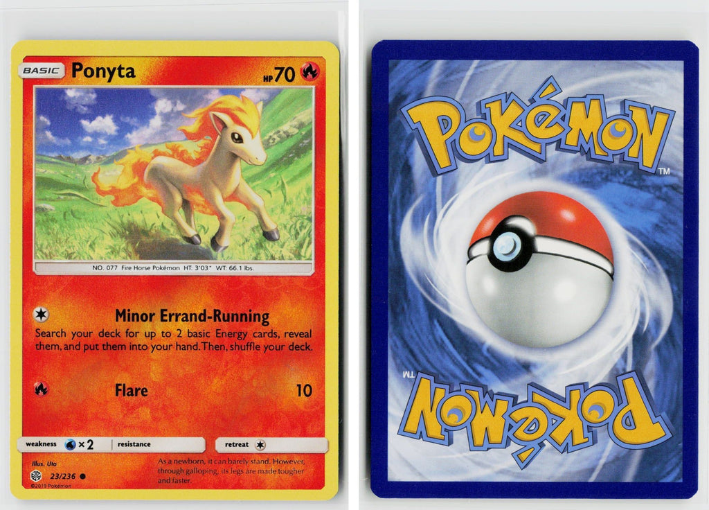 Front + Back scan | Near Mint / English / Reverse Holofoil