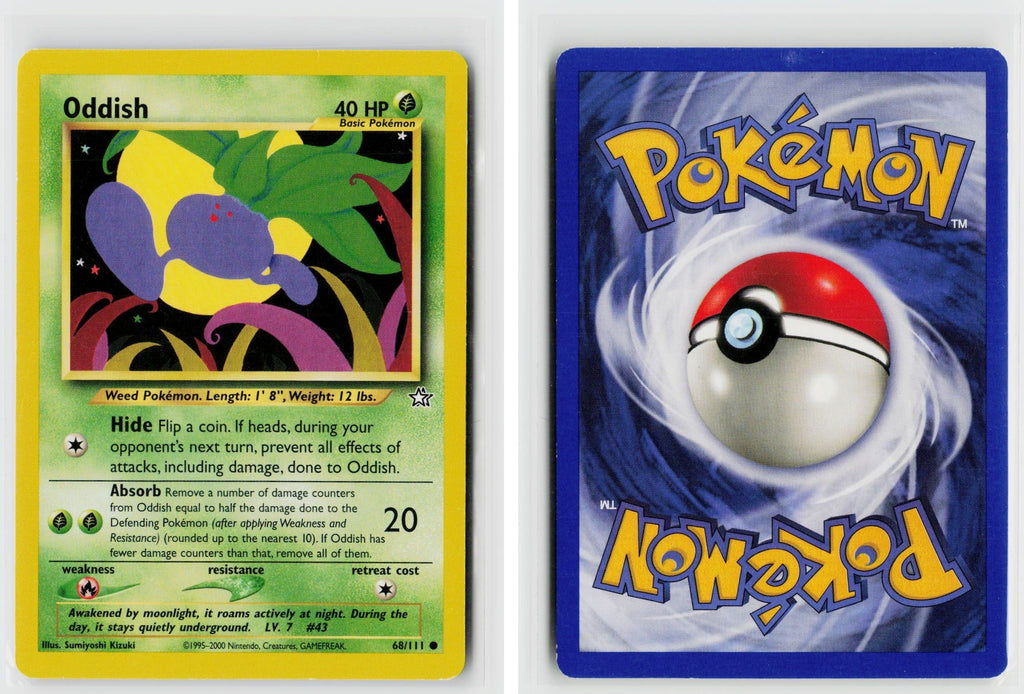 Front + Back scan