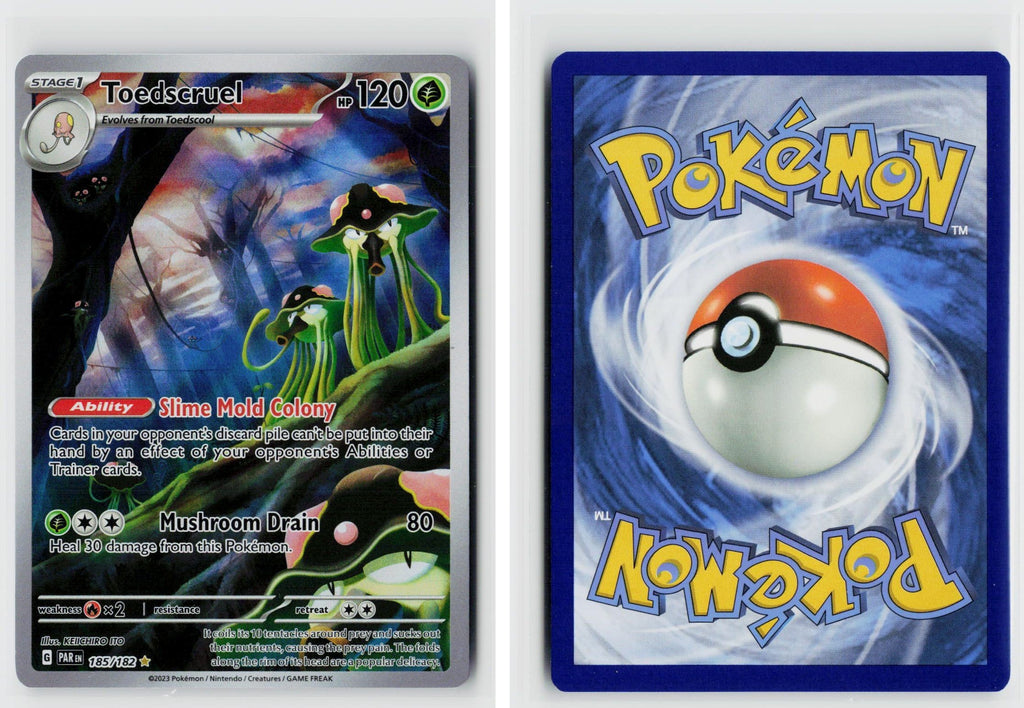 Front + Back scan