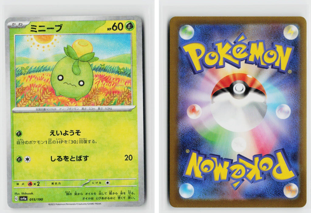 Front + Back scan