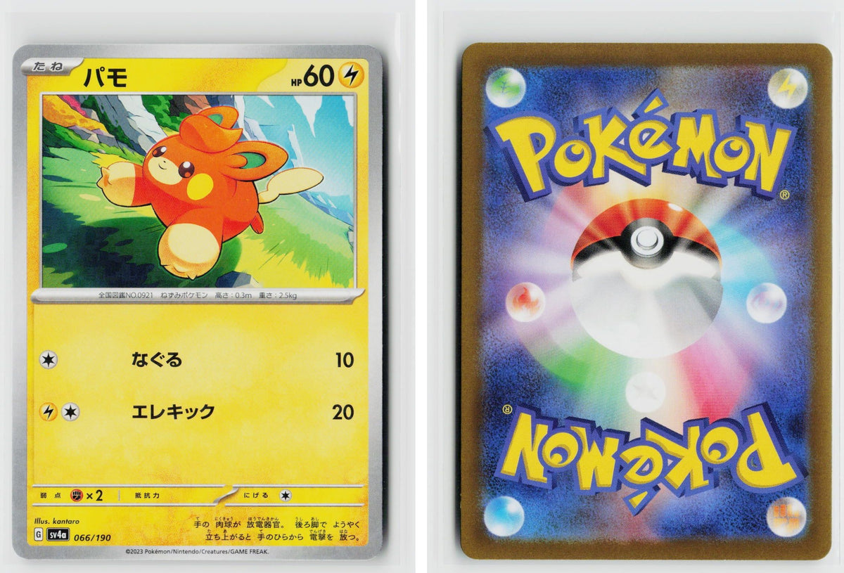 Front + Back scan