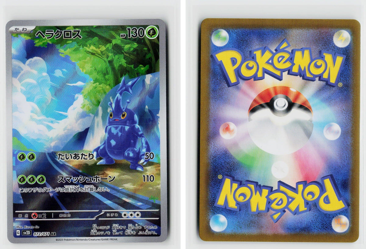 Front + Back scan