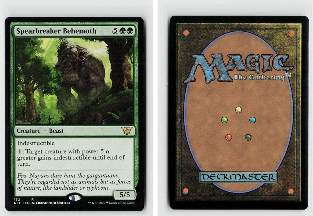 Front + Back scan