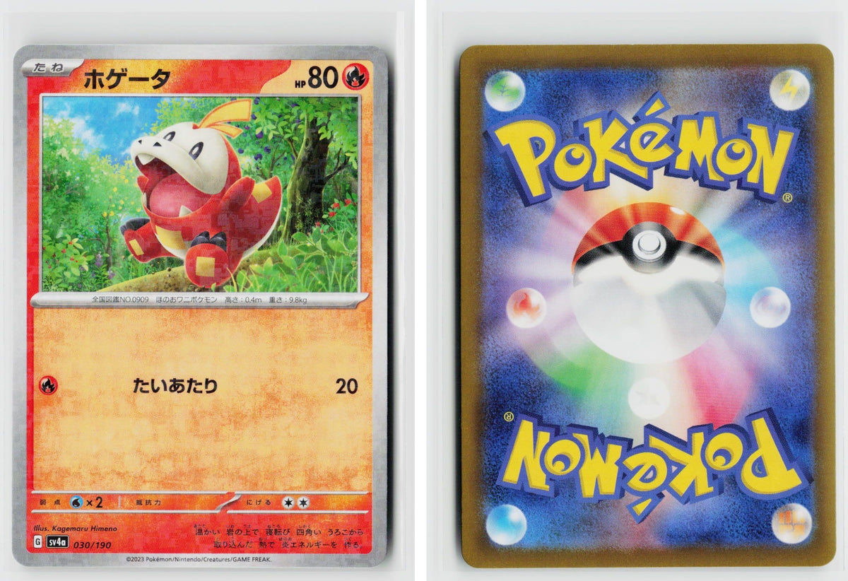 Front + Back scan