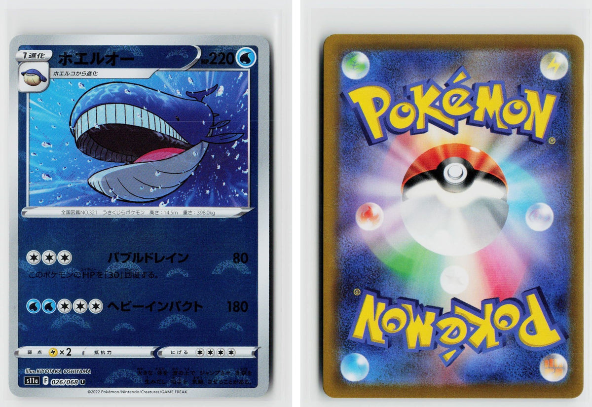 Front + Back scan
