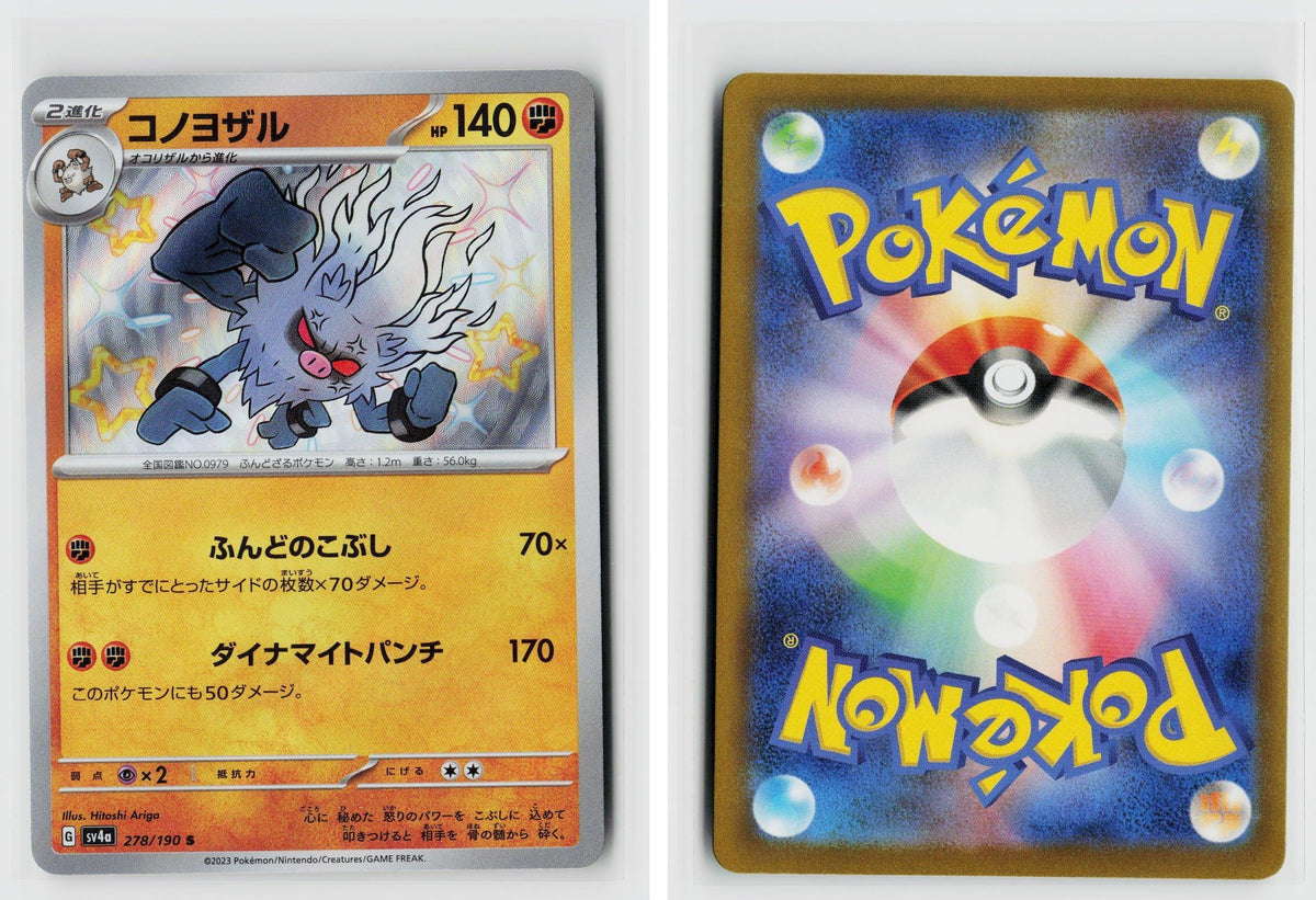 Front + Back scan