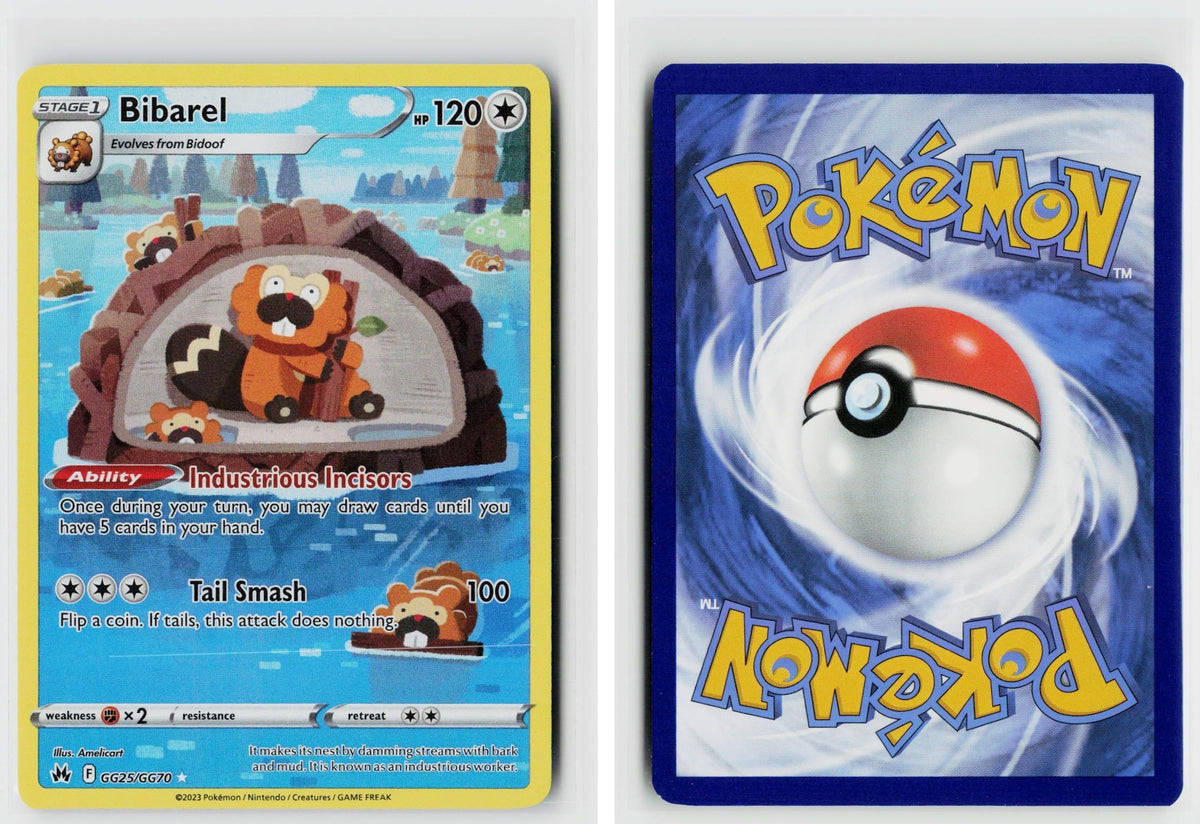 Front + Back scan