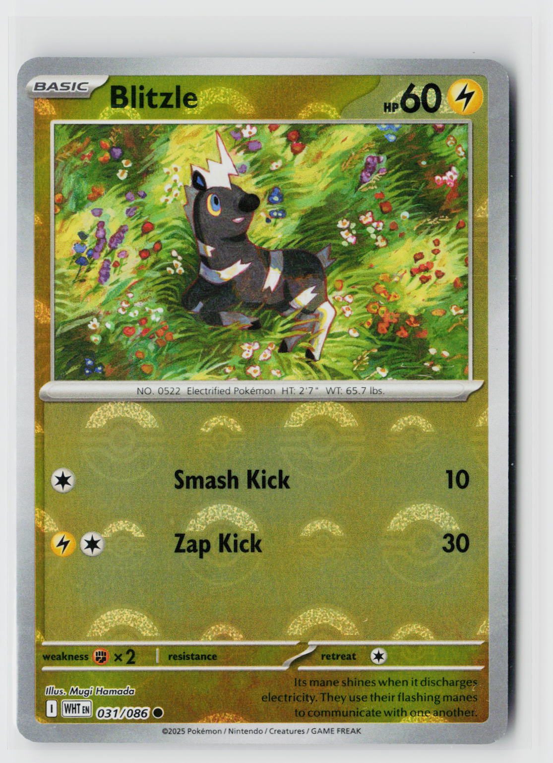 Blitzle (Poke Ball Pattern)